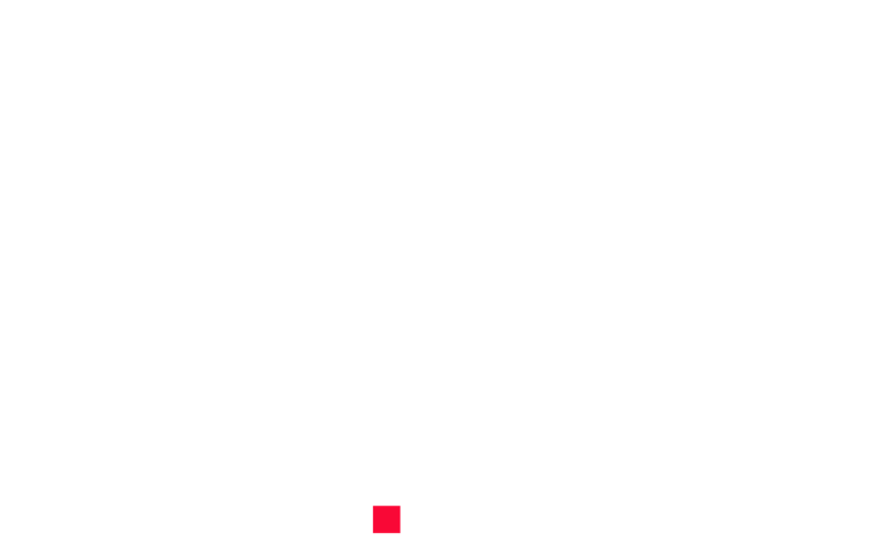 The Parent Inc